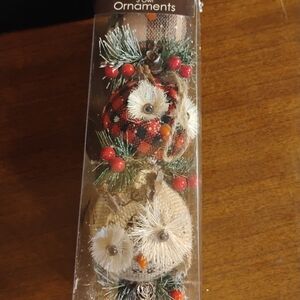 Winter Wonder Rustic Cottage Owl Ornaments